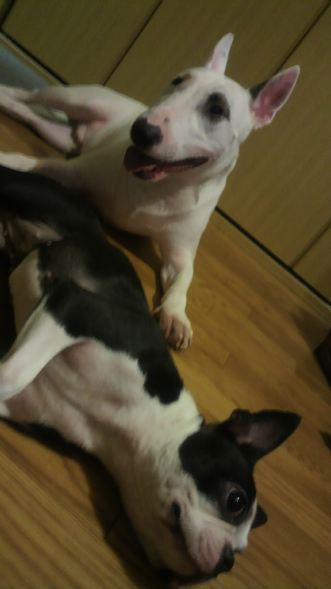 2010080419430001.jpg