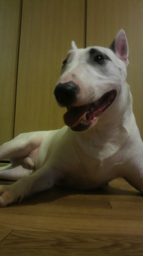 2010080419420001.jpg
