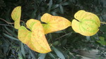 2010101916240000.jpg