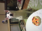 2011020821050000.jpg