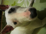 2011021300590000.jpg