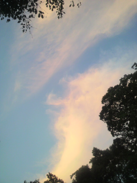 2011091318130001.jpg